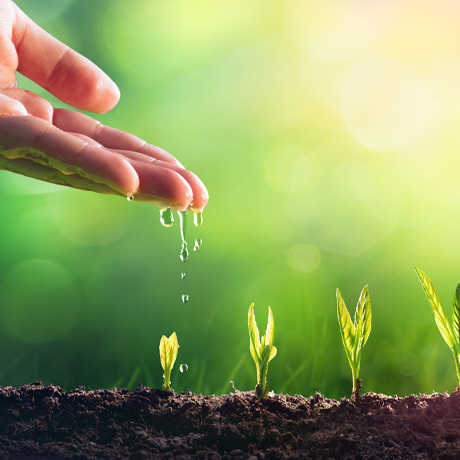 Estate Agency Franchise Opportunities | Reeds Rains